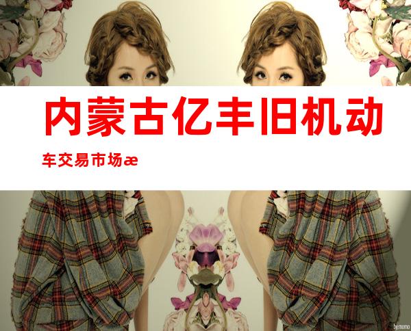 内蒙古亿丰旧机动车交易市场有限公司