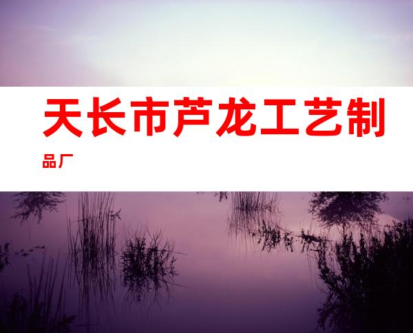 天长市芦龙工艺制品厂